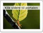 Klik videre til Milj? portalen